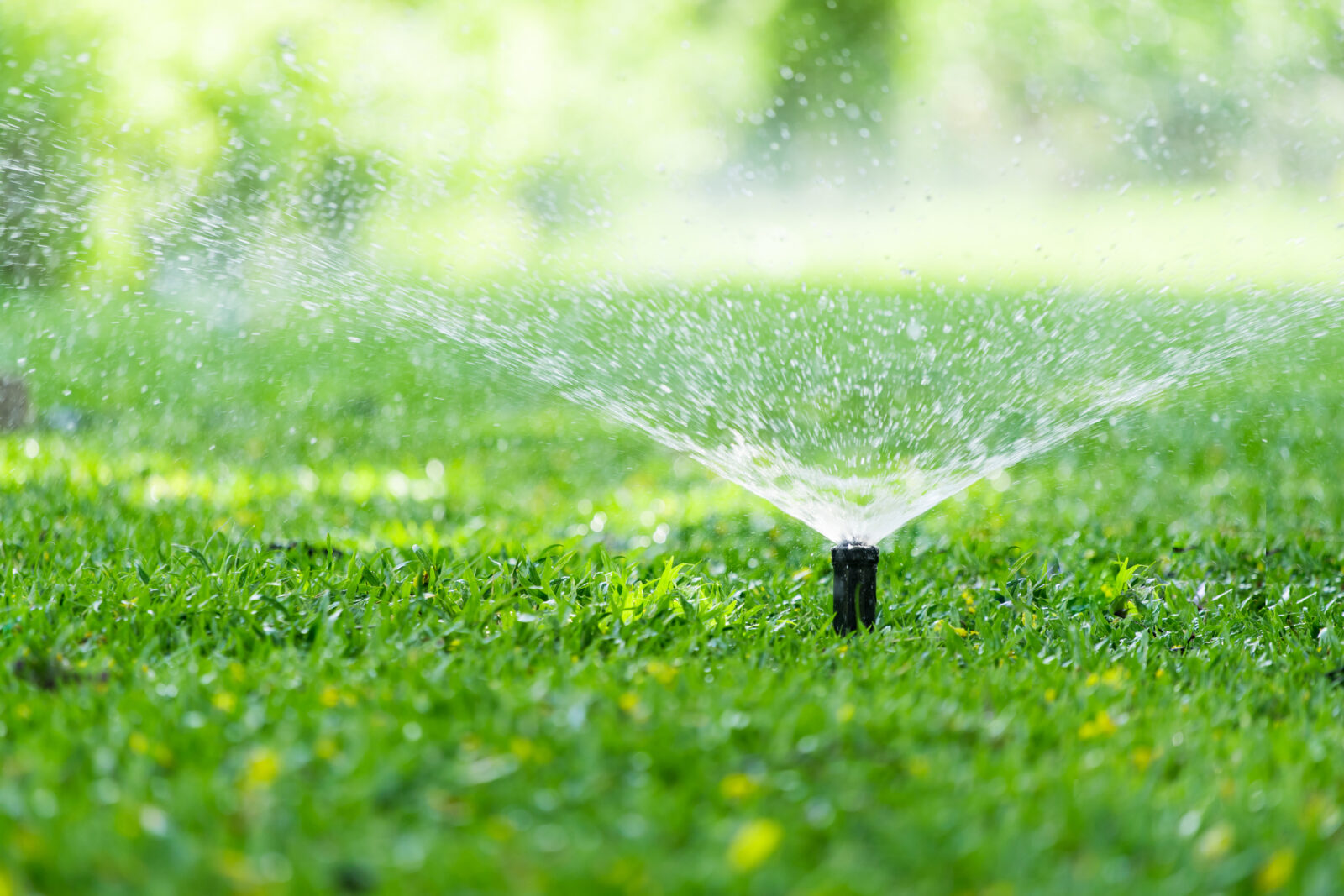 lawnsprinkler lca 1600x1067 1